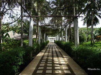 Outdoor Pictures 16