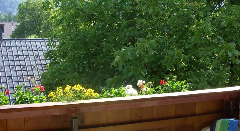 Outdoor Pictures 16
