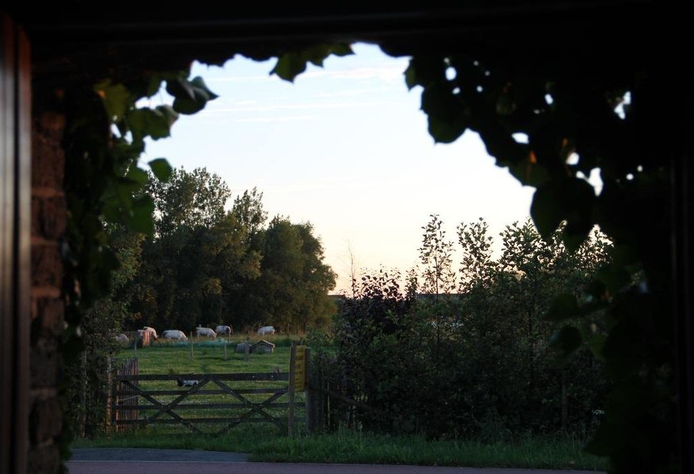 Outdoor Pictures 22
