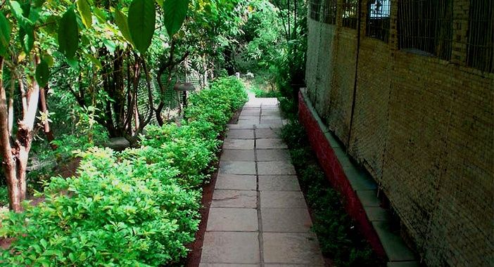 Outdoor Pictures 15