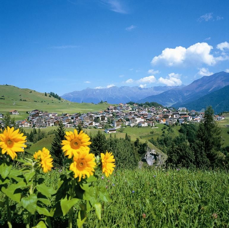 Outdoor Pictures 24