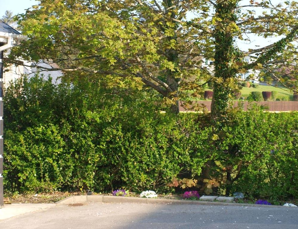 Outdoor Pictures 22
