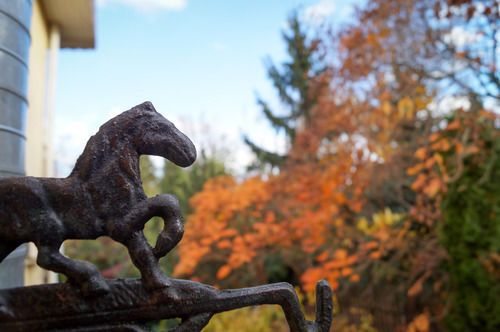 Outdoor Pictures 21