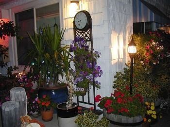 Outdoor Pictures 7