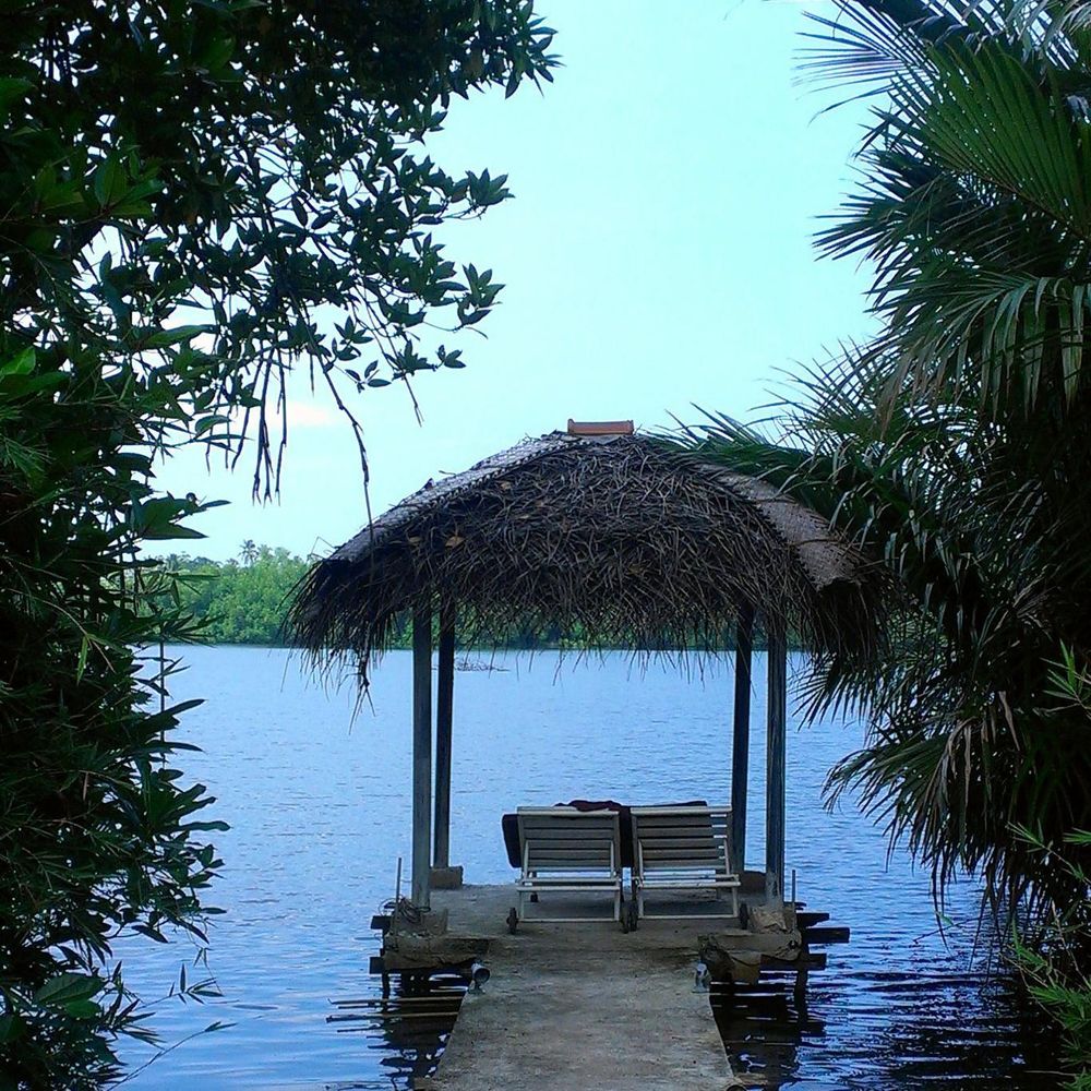 Outdoor Pictures 1