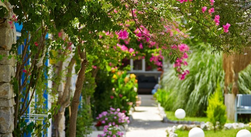 Outdoor Pictures 17