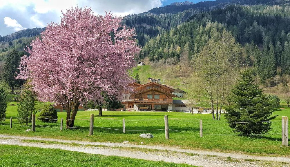 Outdoor Pictures 23