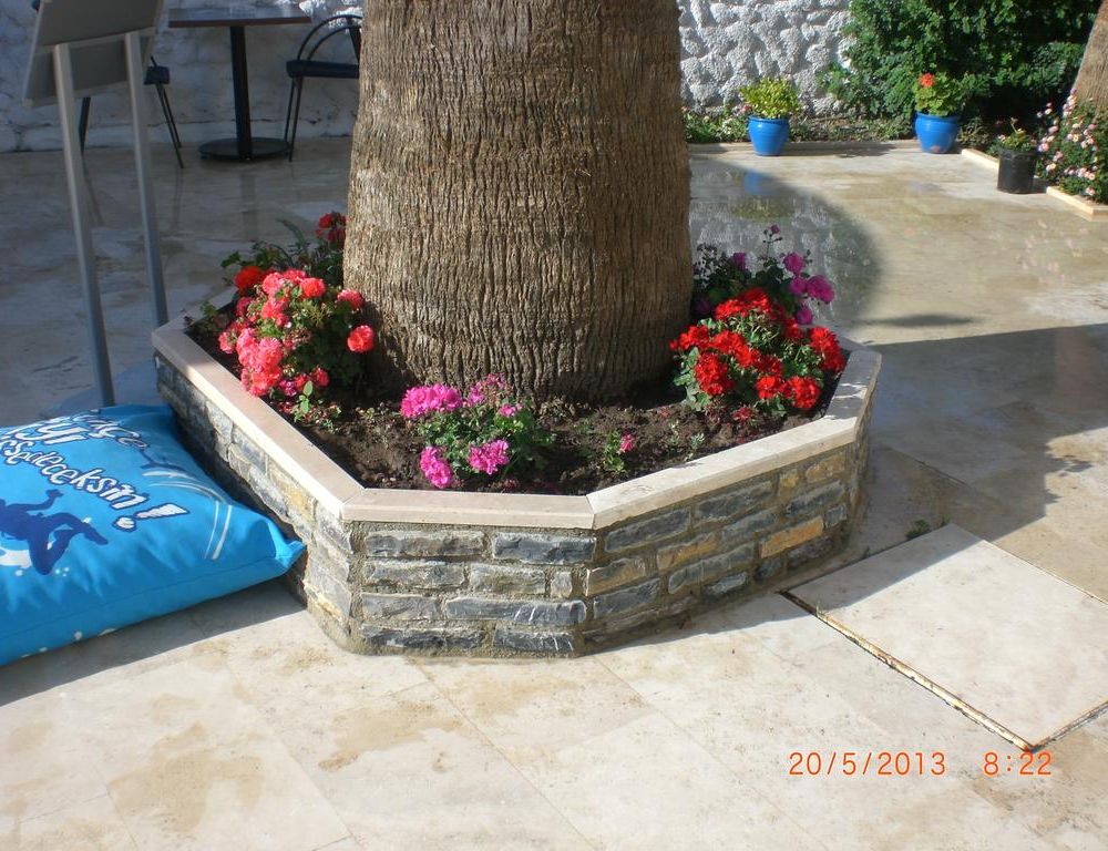 Outdoor Pictures 18