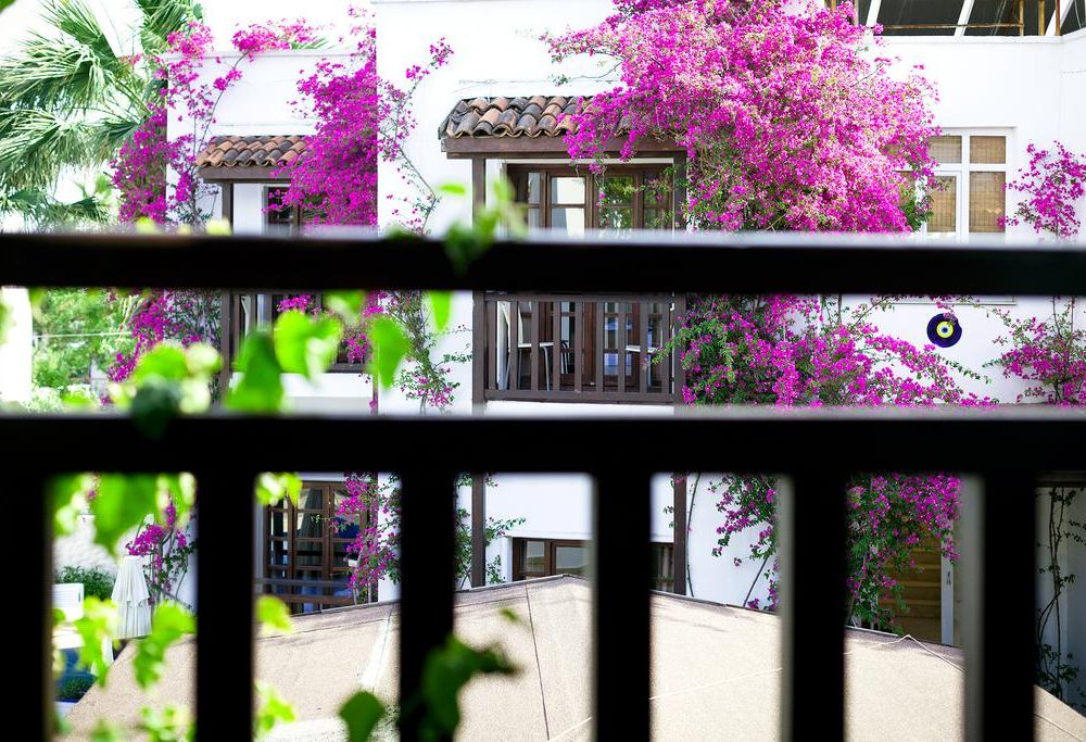 Outdoor Pictures 10