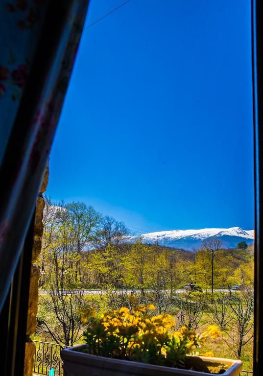 Outdoor Pictures 21