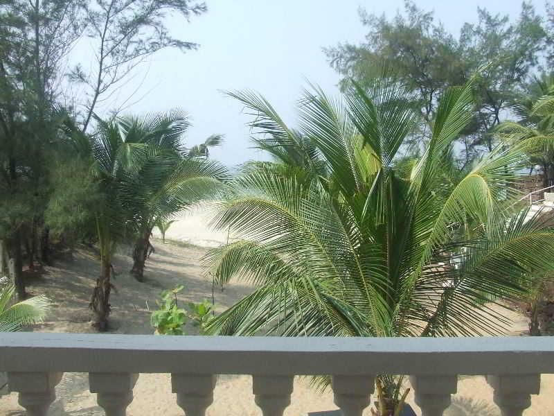 Outdoor Pictures 19