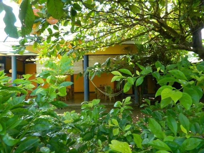 Outdoor Pictures 18