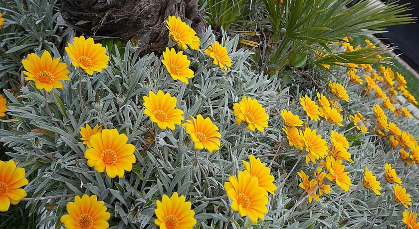 Outdoor Pictures 21