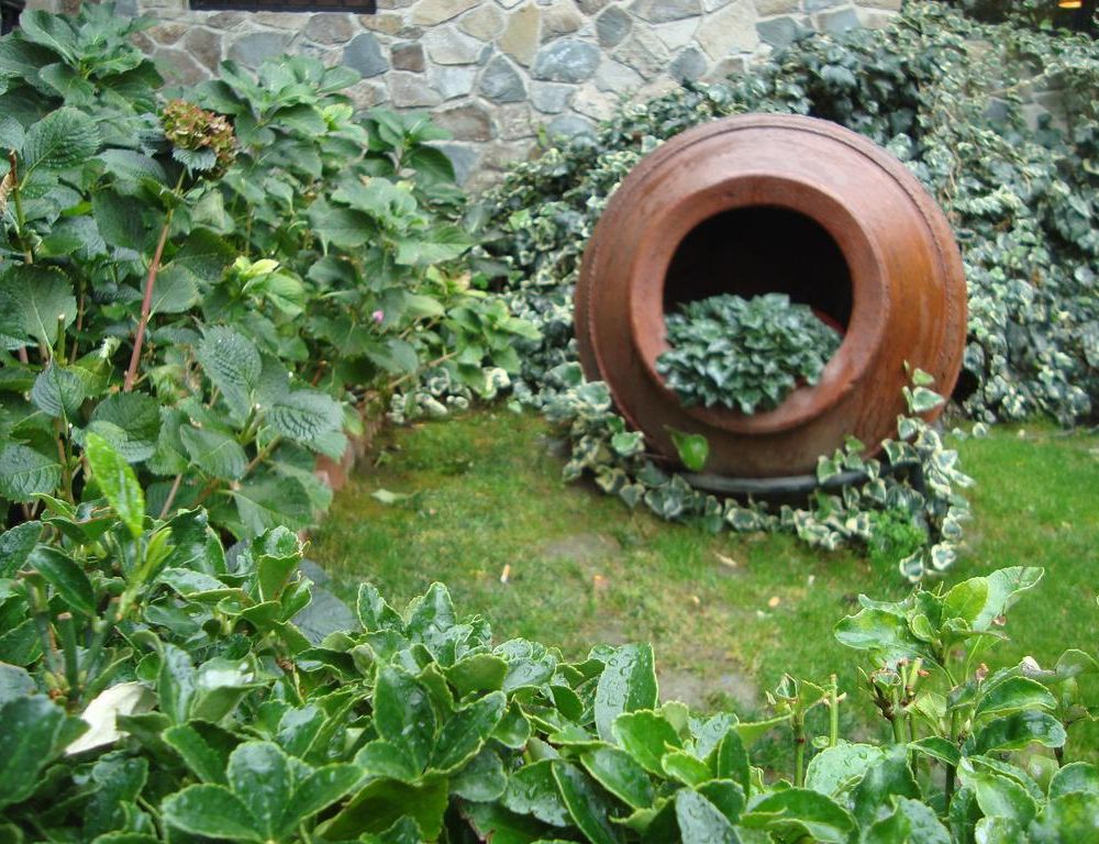 Outdoor Pictures 22