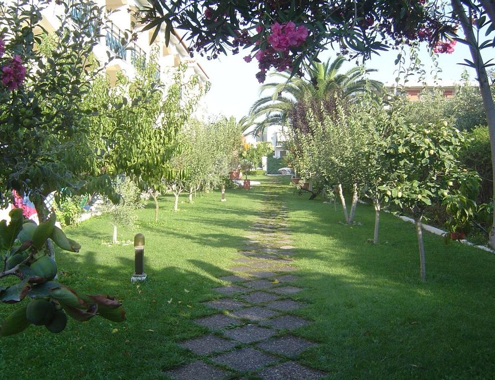 Outdoor Pictures 16