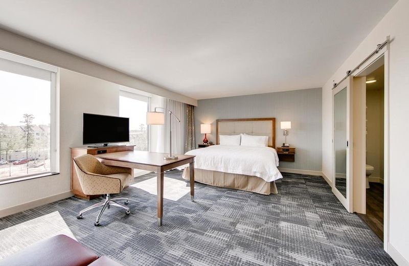 Hampton Inn & Suites North Houston Spring