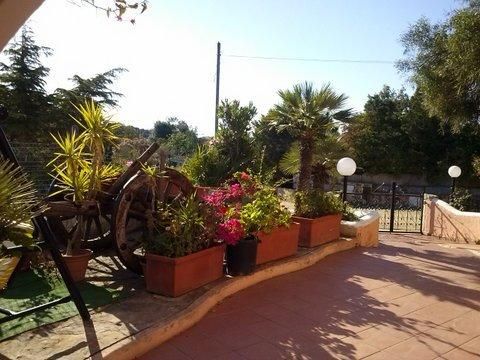 Outdoor Pictures 19