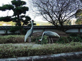 Outdoor Pictures 23