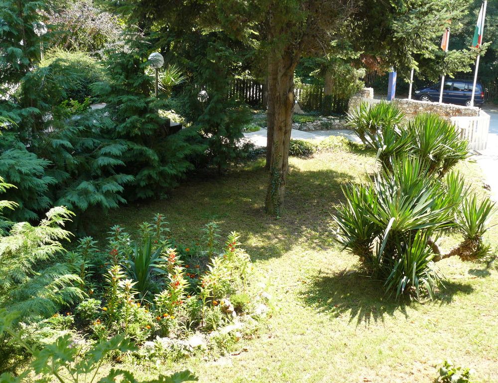 Outdoor Pictures 12