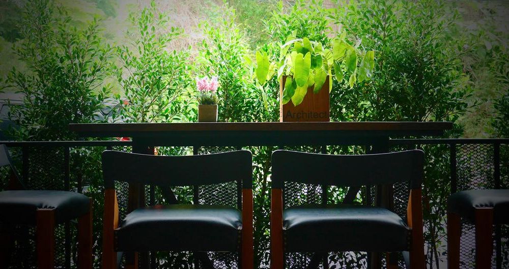 Outdoor Pictures 21