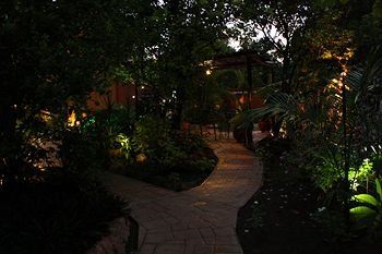 Outdoor Pictures 24