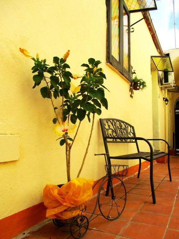 Outdoor Pictures 7