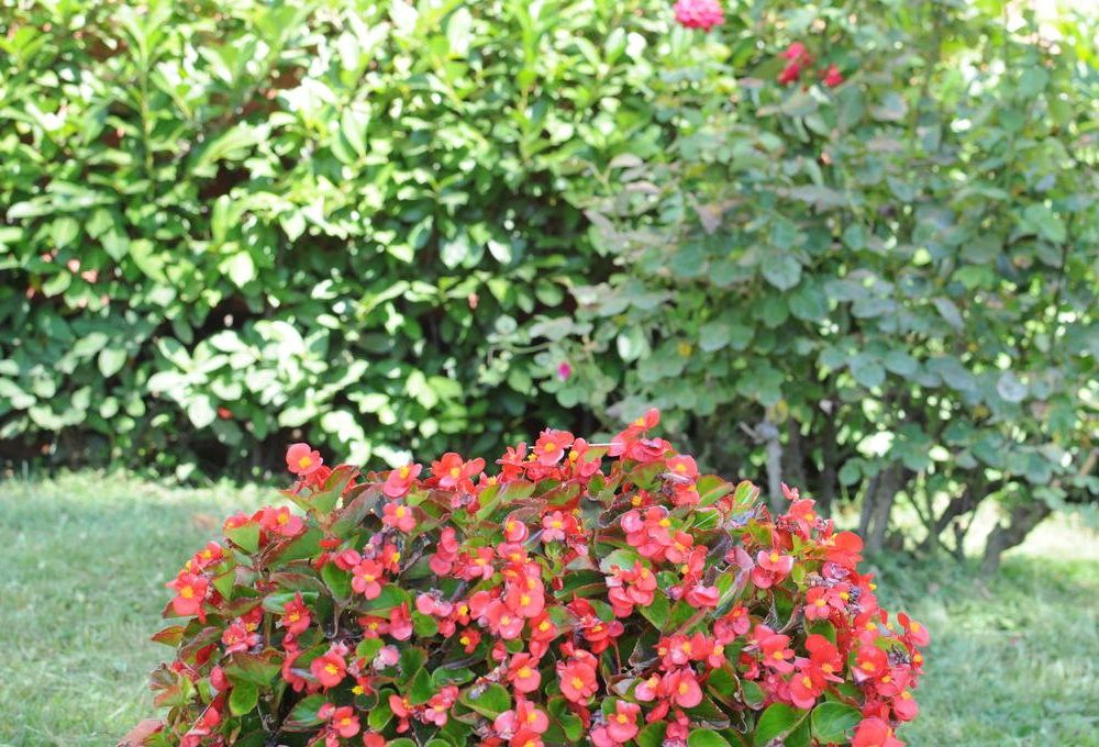 Outdoor Pictures 23
