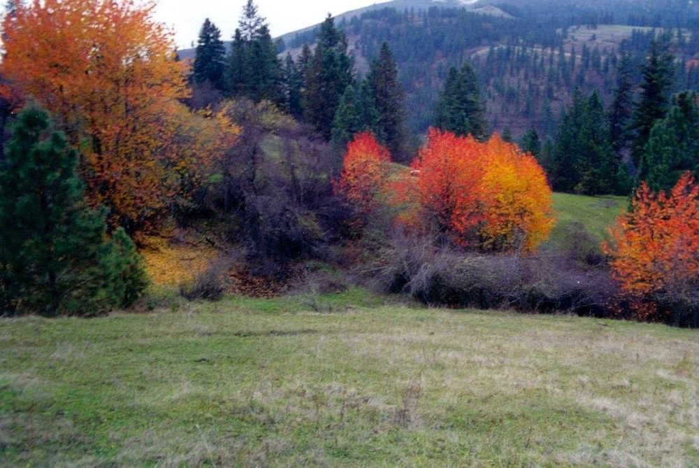 Outdoor Pictures 22