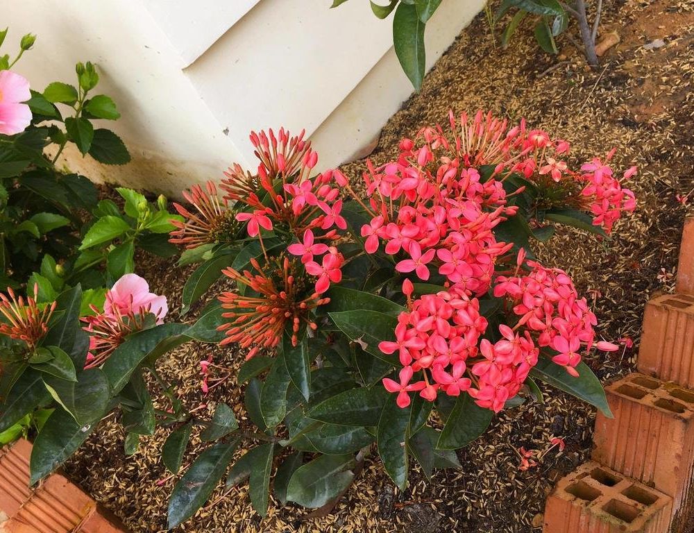 Outdoor Pictures 16