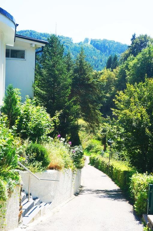 Outdoor Pictures 21