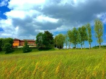 Outdoor Pictures 20
