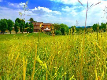 Outdoor Pictures 22