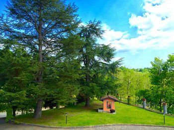 Outdoor Pictures 19