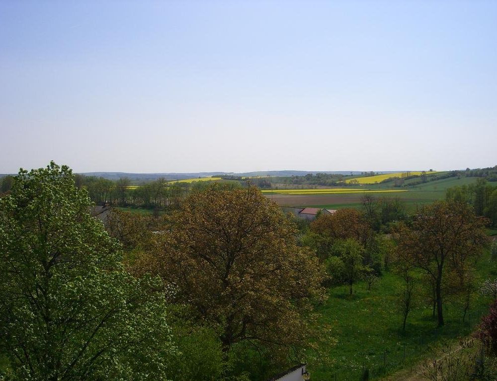 Outdoor Pictures 10