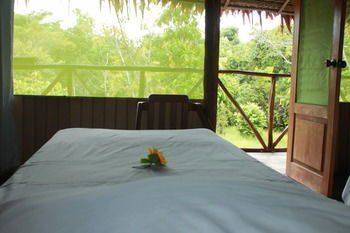Tropical Adventures & Expeditions