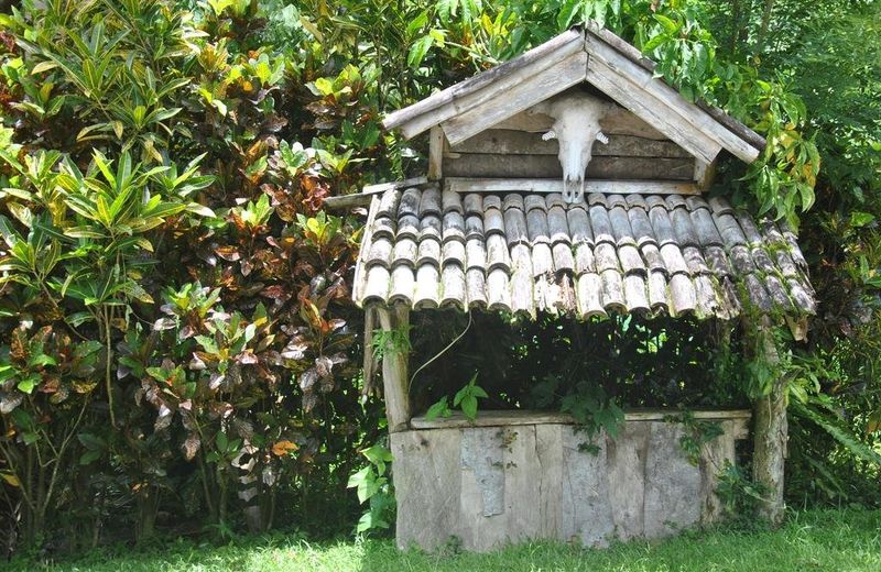 Natty Tropical Valley
