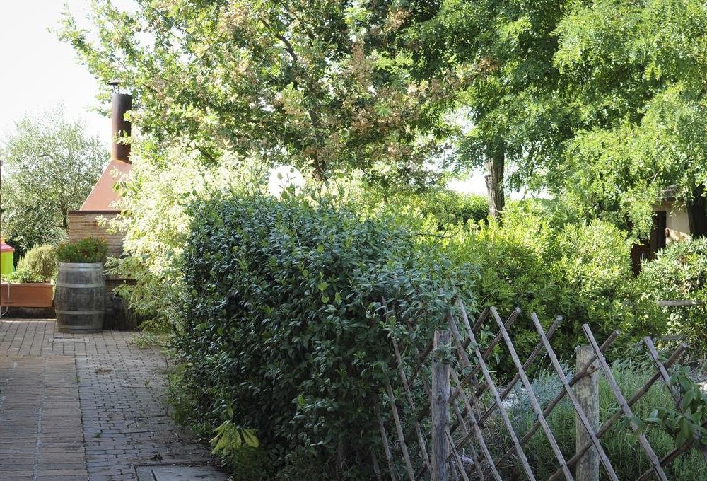 Outdoor Pictures 22