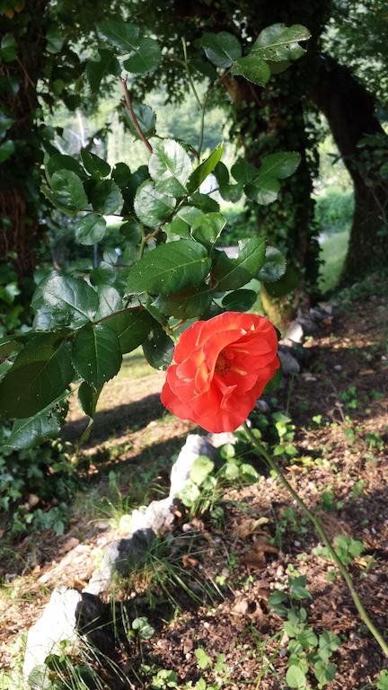 Outdoor Pictures 19