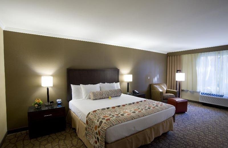 Airtel Plaza Hotel
