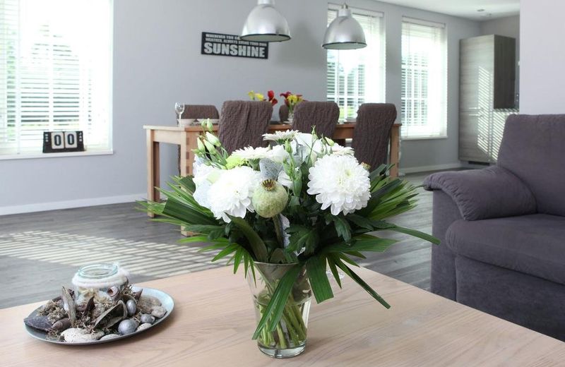 Luxurious and modern house with large garden, privacy and Wi-Fi, near Schoorl and the beach
