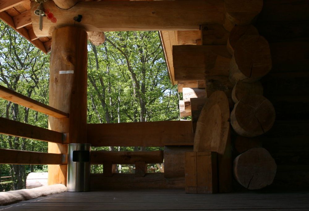 Outdoor Pictures 8