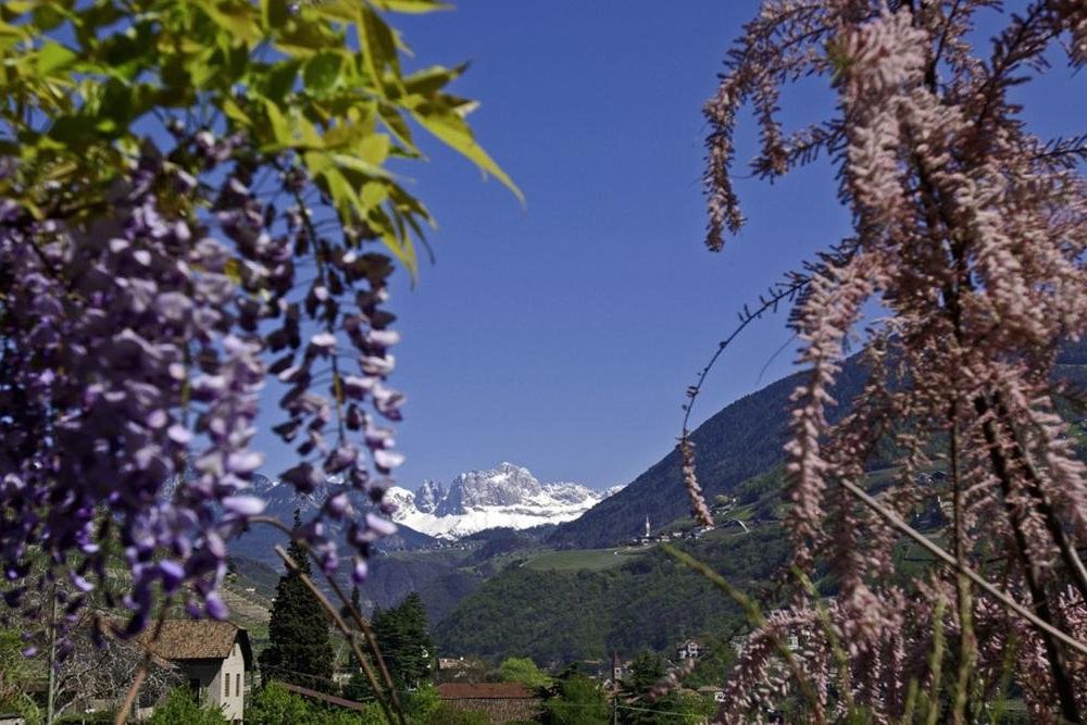 Outdoor Pictures 20
