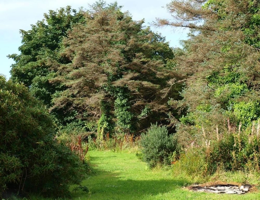 Outdoor Pictures 21