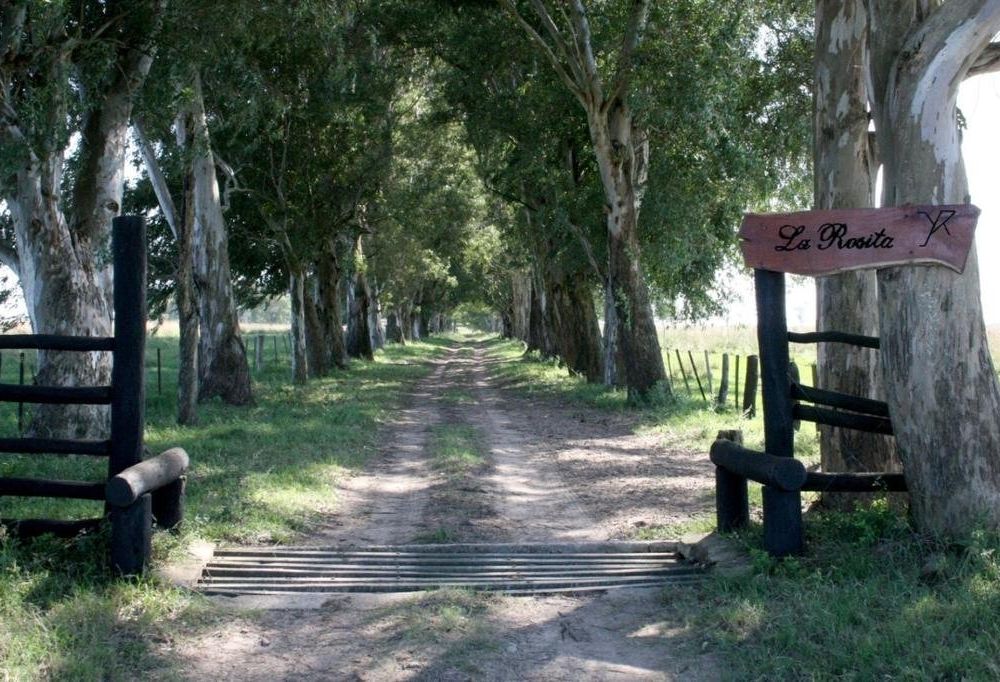 Outdoor Pictures 16