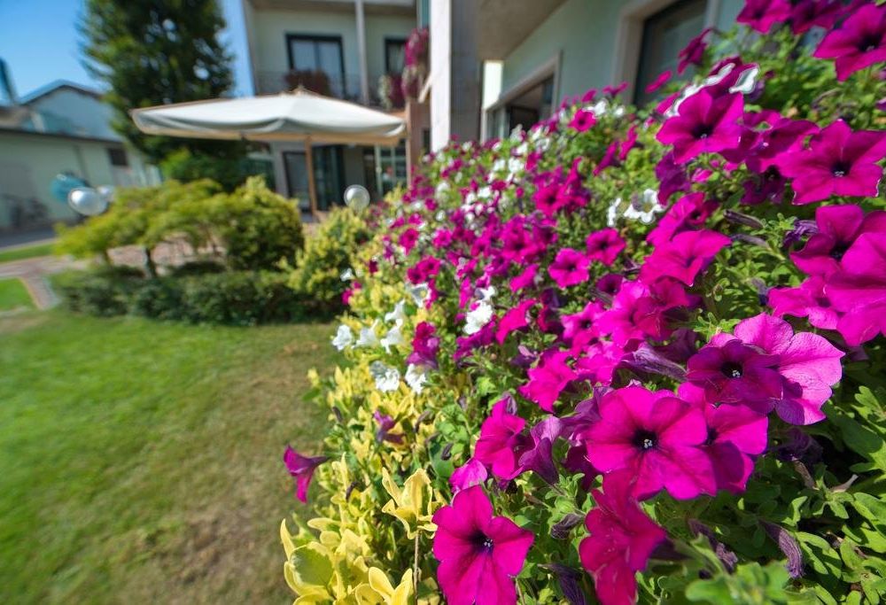 Outdoor Pictures 20