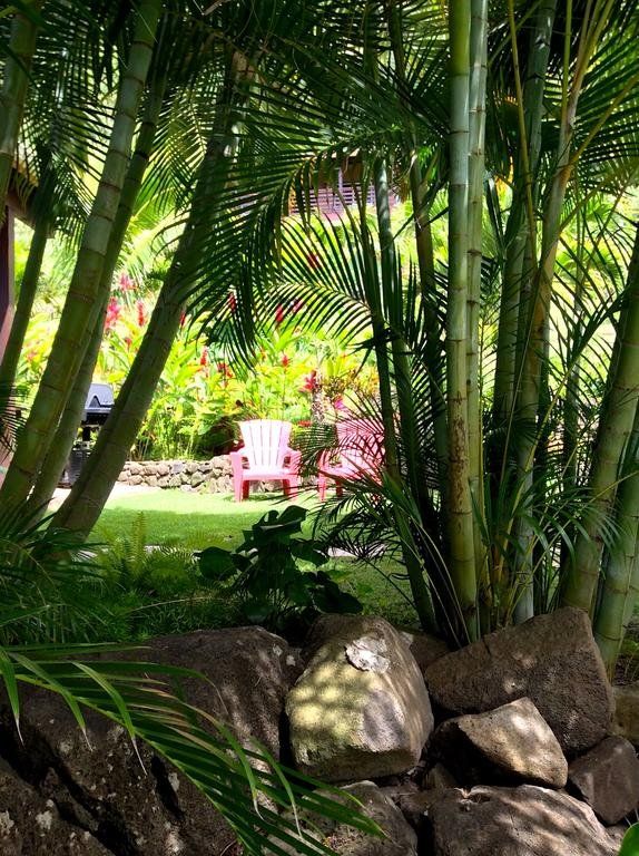 Outdoor Pictures 22