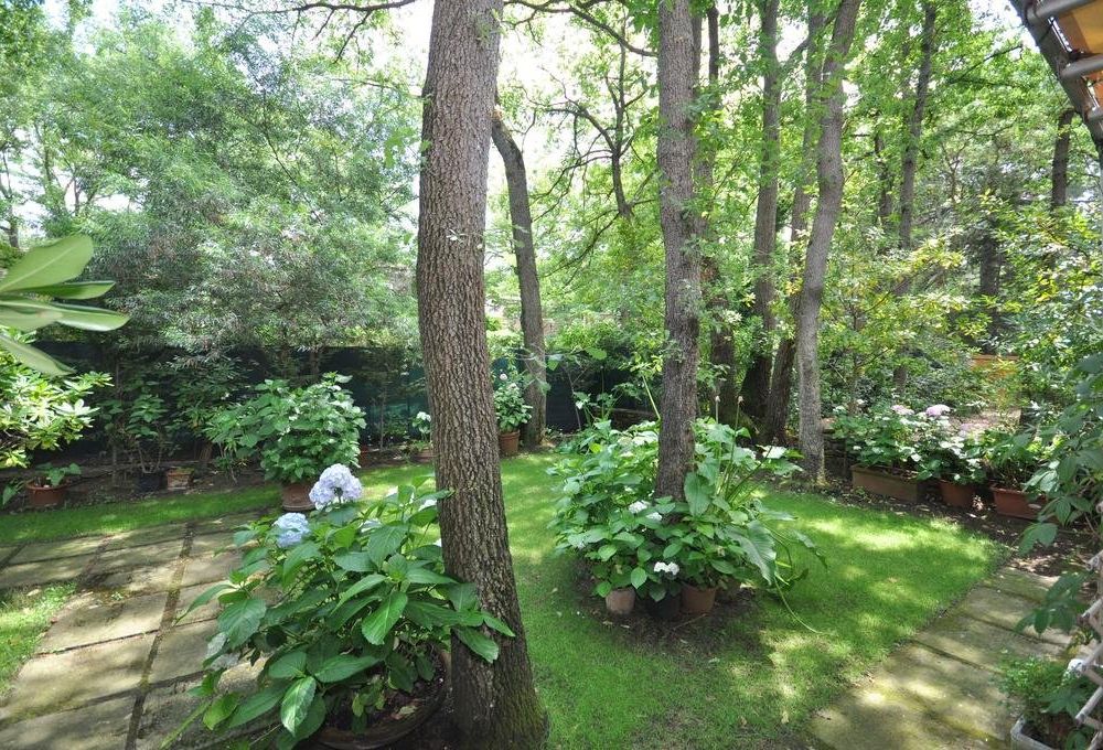 Outdoor Pictures 15