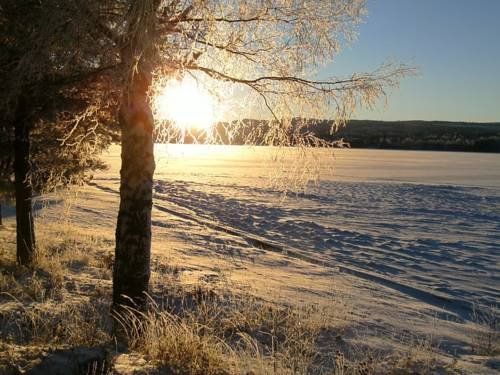 Outdoor Pictures 20