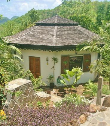Tropical Hideaway