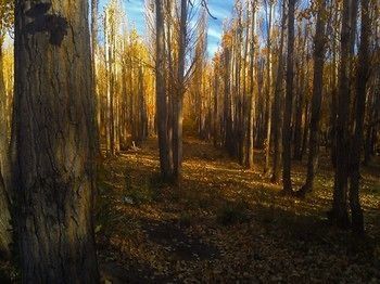 Outdoor Pictures 7